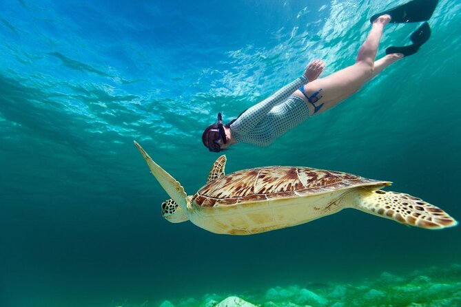 Snorkeling with Turtles and Cenotes - The Morning Plan, Pickup Options, and What the 7 to 10 Hours Feels Like