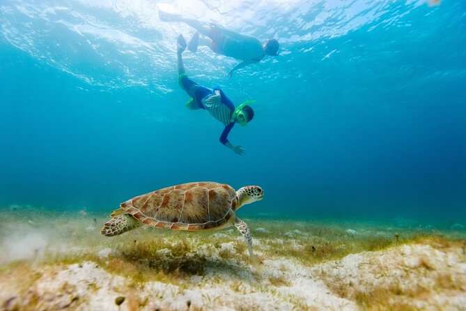 Snorkeling with Turtles and Cenotes - Gear, Lifejackets, and How to Prep So the Water Time Feels Easy