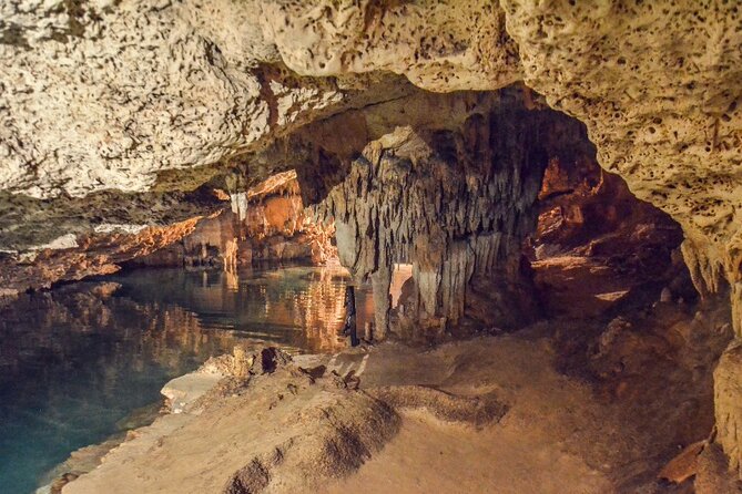 Snorkeling with Turtles and Cenotes - Price and Value: What $89 Buys, Plus the $20 Government Fee