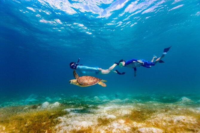 Snorkeling with Turtles and Cenotes - The Standout Moments That Usually Make People Grin