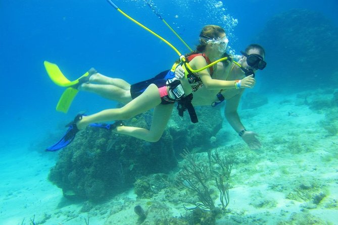 SNUBA Cozumel Underwater Adventure inside Chankanaab National Park - What happens before you go underwater: gear, breathing, and first comfort wins