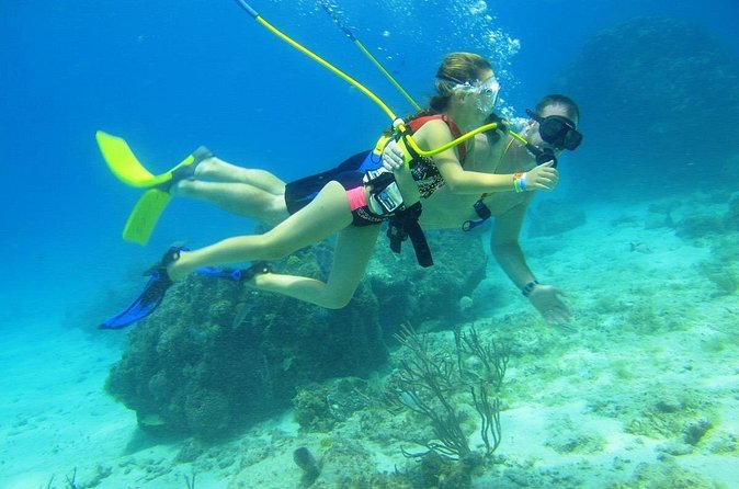 SNUBA Cozumel Underwater Adventure inside Chankanaab National Park - The Chankanaab Reef stop: seeing marine life close to shore