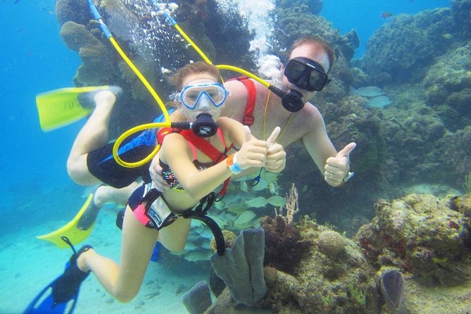SNUBA Cozumel Underwater Adventure inside Chankanaab National Park - Price and what you should budget beyond the $65 tour