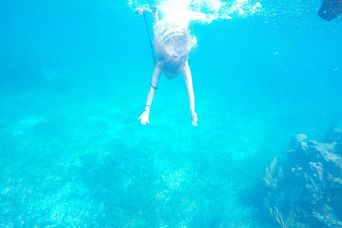Speed Boat & Snorkel Tour with transportation ( only Cancun zone area) - Snorkeling at Angel Reef Park, Puerto Morelos: what to expect