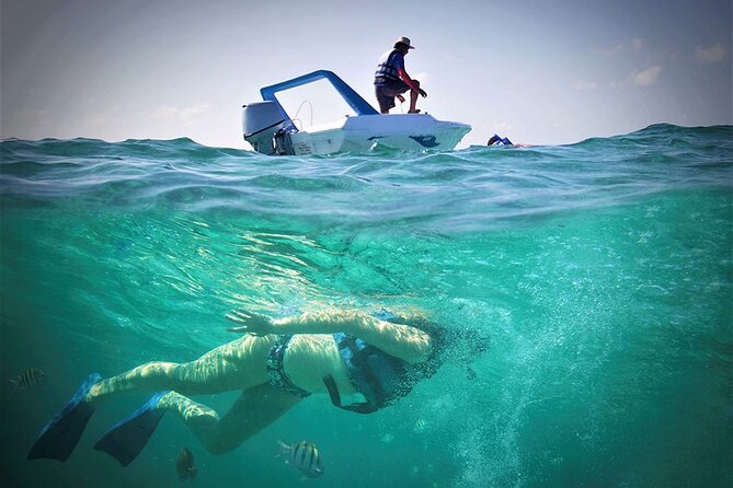 Speed Boat & Snorkel Tour with transportation ( only Cancun zone area) - The guides make the day: names, styles, and group energy