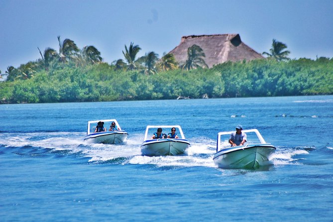 Speed Boat & Snorkel Tour with transportation ( only Cancun zone area) - Speedboat driving, training, and safety realities