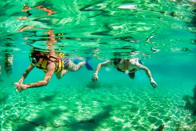 Speedboat across the Mangroves & Snorkel with Jet Ski Rental - Snorkeling at Punta Nizuc: What Makes MUSA Worth It