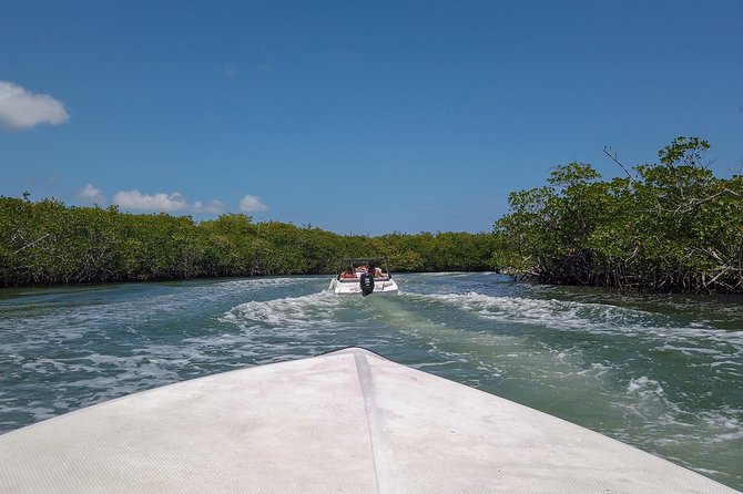 Speedboat and snorkel tour: Single Passenger Boat - Driving the Cancun Coast: Why This Tour Works