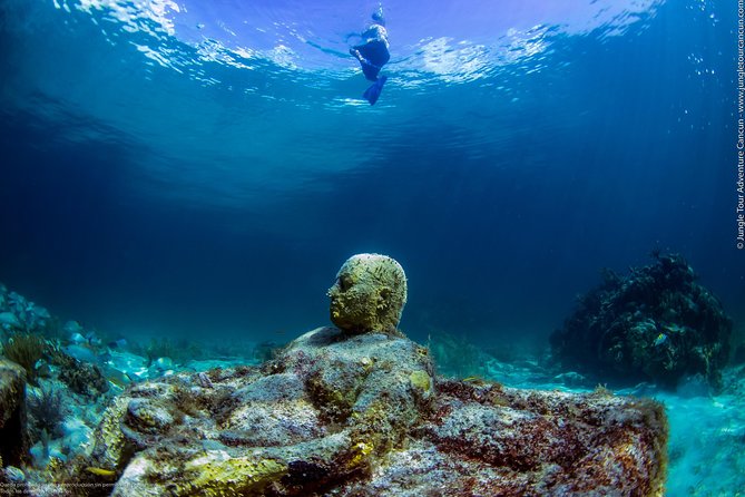 Speedboat and snorkel tour: Single Passenger Boat - What You Really Get for $110 (and What Costs Extra)