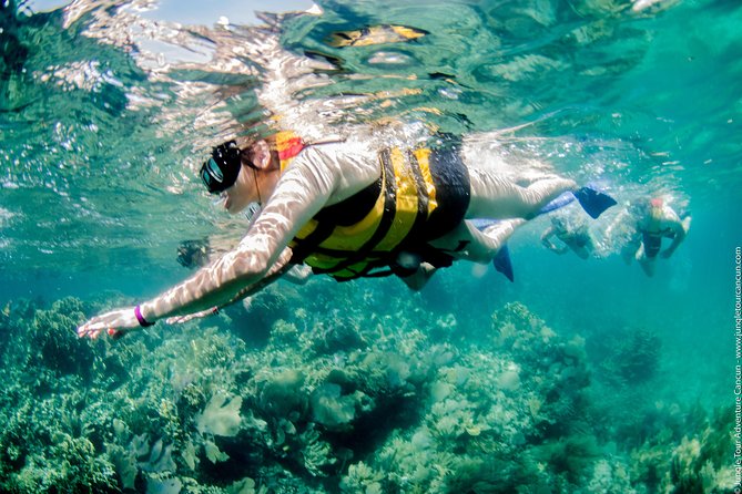Speedboat and snorkel tour: Single Passenger Boat - Snorkeling Comfort Tips That Make the Whole Thing Better