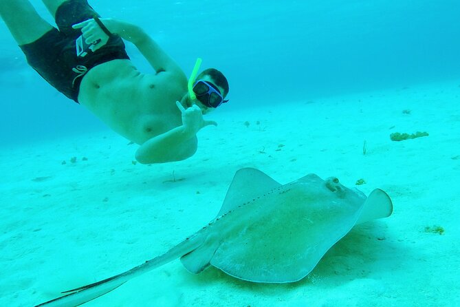 Starfish, Stingrays and the Turtle Sanctuary Snorkel Tour - Meeting point and transport: how to avoid the first-day stress