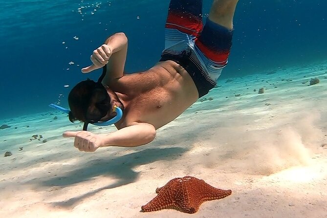 Starfish, Stingrays and the Turtle Sanctuary Snorkel Tour - What the tour really includes (and what you pay extra)