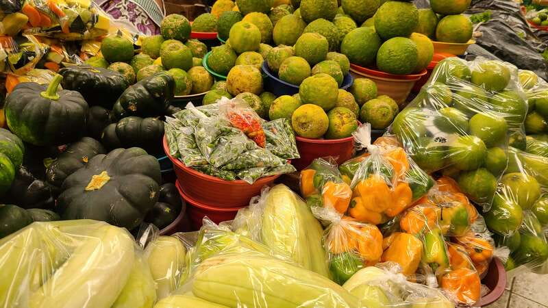 Street Food Walking Tour in Merida - Start at Hotel Caribe, then get breakfast out of the way
