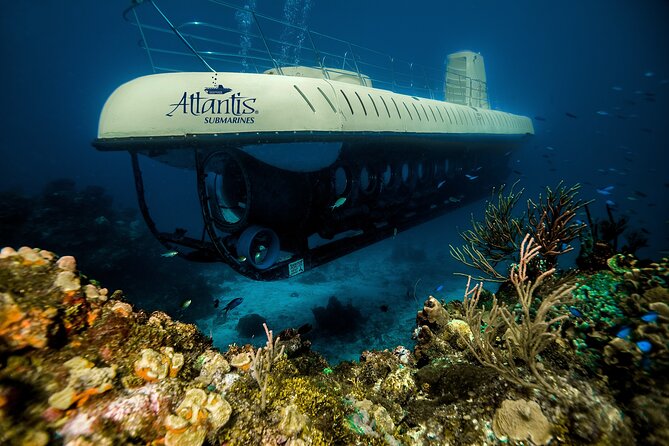 Submarine Atlantis Cozumel Adventure by Day & Sunset - How the 2-hour flow works, stop by stop