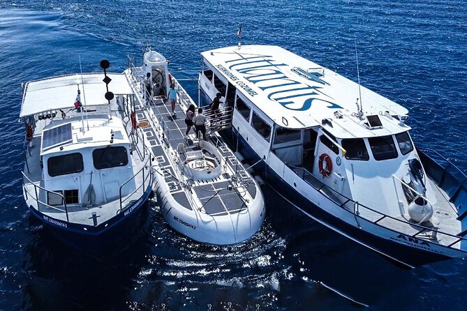 Submarine Atlantis Cozumel Adventure by Day & Sunset - Chankanaab Reef at 100 feet: what you’ll actually see