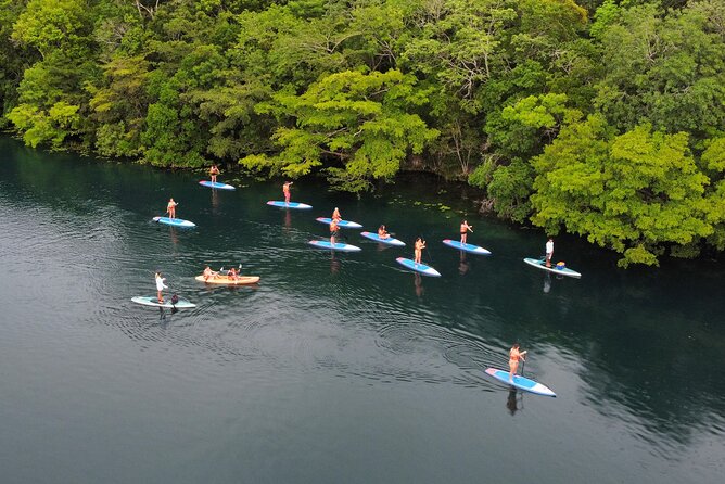 Sunrise by Paddle or Kayak with Floating Picnic - Bird Sanctuary Floating Picnic, Food With a Side of Quiet