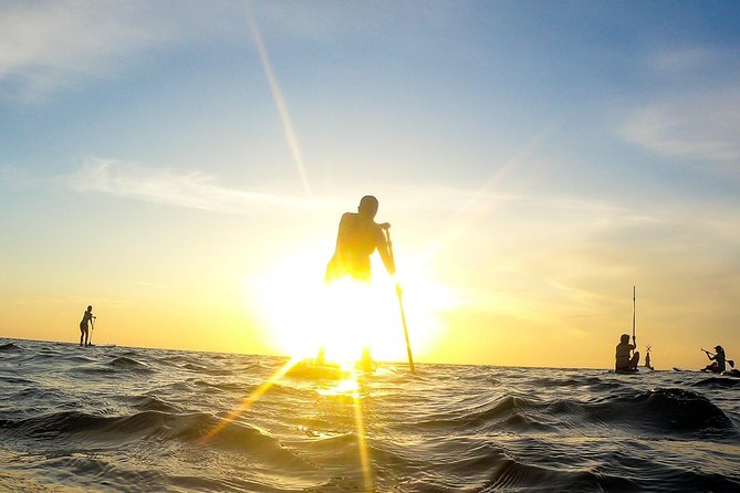 Sunrise Session - The #1 Paddleboard Tour On The Caribbean Sea - Why a sunrise paddleboard in Playa del Carmen works so well