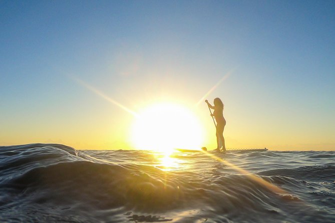 Sunrise Session - The #1 Paddleboard Tour On The Caribbean Sea - Water conditions and snorkeling: how to think about Plan B