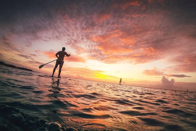 Sunrise Session - The #1 Paddleboard Tour On The Caribbean Sea - Meeting up at Fusion Beach: simple, central, and easy to navigate