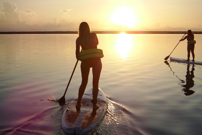 Sunrise Tour (Stand Up Paddle or Kayak) - Timing, comfort, and what to pack for a sunrise paddle