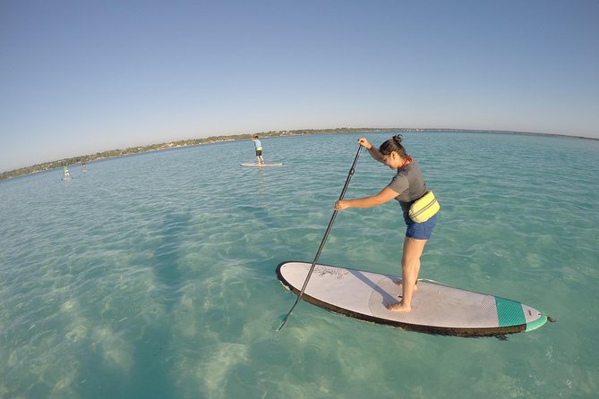 Sunrise Tour (Stand Up Paddle or Kayak) - What the guides actually do for you on the water