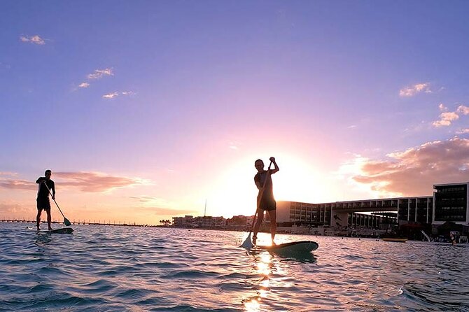 Sunset Session - An Exciting Paddleboard Adventure For All Levels - The Sunset Portion: Views, Timing, and the Chance of Wildlife