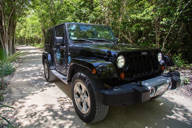 Super Cozumel Combo Snorkel by Boat and Jeep Exploration (Private) - Tequila tasting: learning the process, sampling varieties, and setting expectations