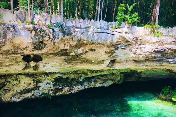 Swim in 4 different Cenotes in Casa Tortuga Park - Four Cenotes in One Park: What the Swim Day Actually Delivers