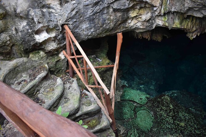 Swim in 4 different Cenotes in Casa Tortuga Park - Wisho Cave: Fossils, Bats, and a Slightly More Mysterious Swim