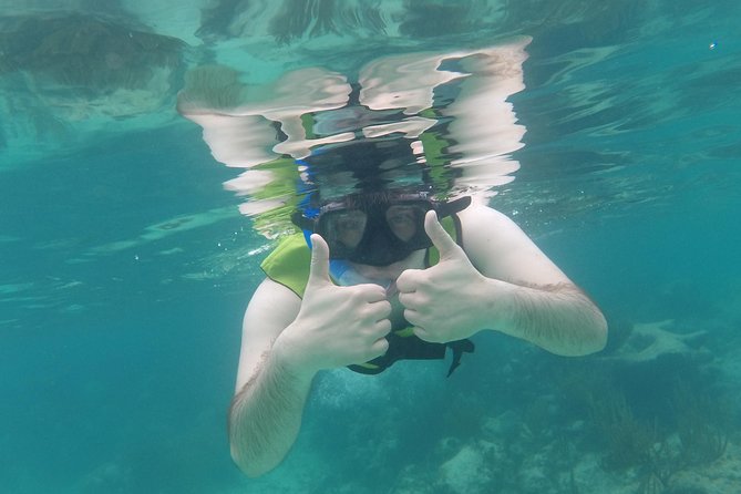 Swim with sea turtles - Timing choices, crowds, and reef conditions you should expect