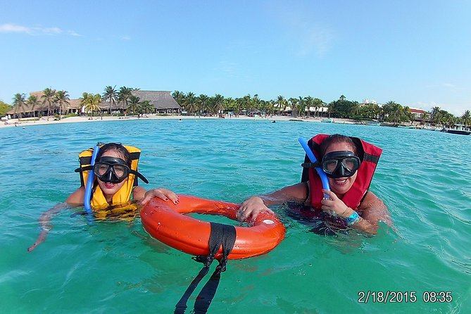 Swim with sea turtles - Is it worth $45? Value check versus bigger excursions