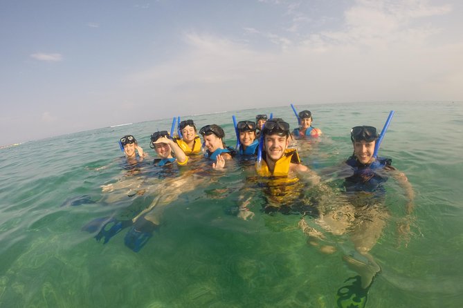 Swim with sea turtles - What is included in the $45 snorkeling ticket