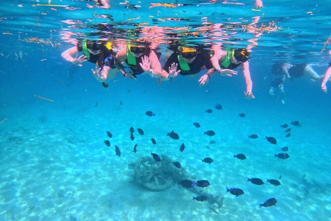 Swim with Turtles in Akumal + GoPro Photo Session - The GoPro photo session: what’s included and how to get the best results