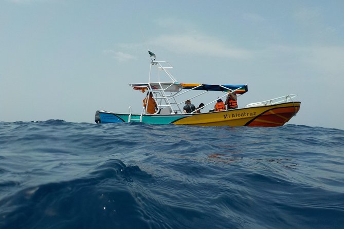 Swim with whale sharks on a private tour - A Private Whale Shark Day in Holbox, From Early Coffee to Fresh Ceviche
