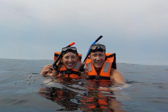 Swim with whale sharks on a private tour - The Boat Ride Toward Yum Balam Reserve: Why Timing Matters