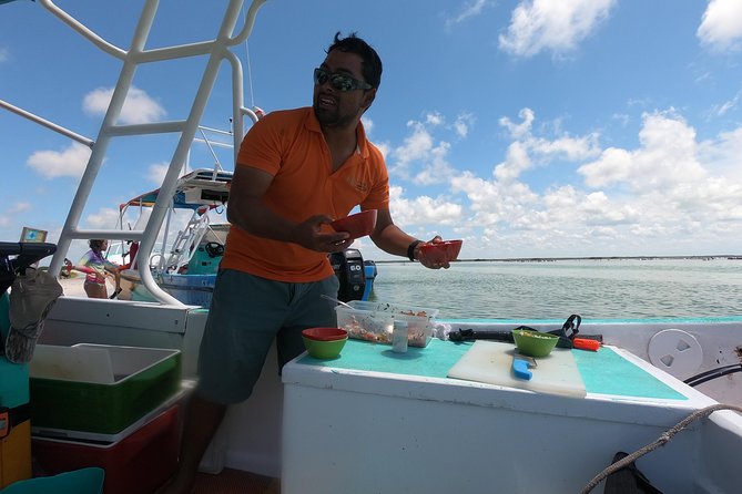Swim with whale sharks on a private tour - Price and Value: What You’re Really Paying For
