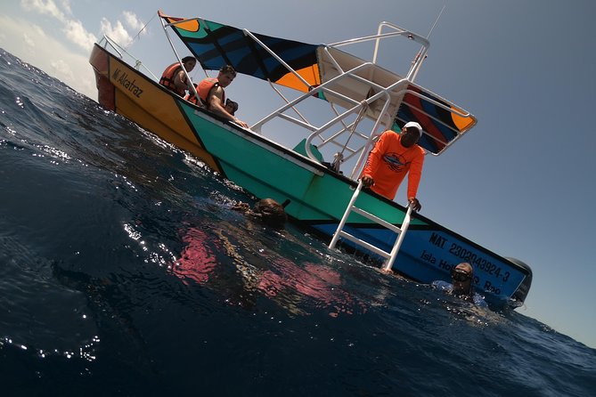 Swim with whale sharks on a private tour - Meeting at Luuma: The Part That Sets the Tone