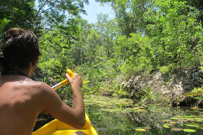 Tankah Park Five Cenotes Adventure Tour from Tulum - What Makes Tankah Park Five Cenotes Special