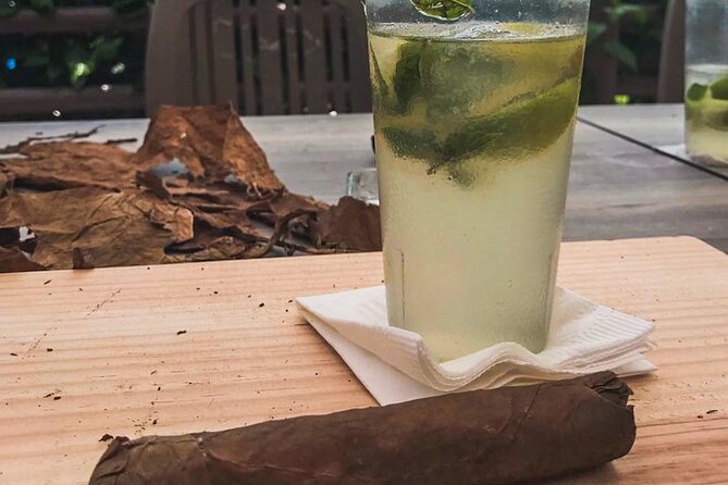 Taste of Mexico: Rolling Cigar & Tequila Experience with transfer - Drinks, timing, and the 18+ reality check