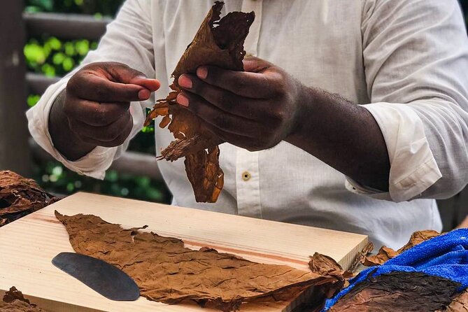 Taste of Mexico: Rolling Cigar & Tequila Experience with transfer - Value for your money: when this day trip feels like a win