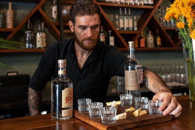 Tequila and Mezcal Tasting in Tulum with Cheese Pairing - Six bottles and a lesson: how you actually start tasting