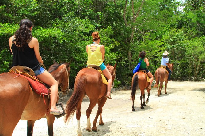 The best ATVs, zipline, cenote tour with lunch and transportation - Transportation and Pickup: Where Most Time Grows or Shrinks