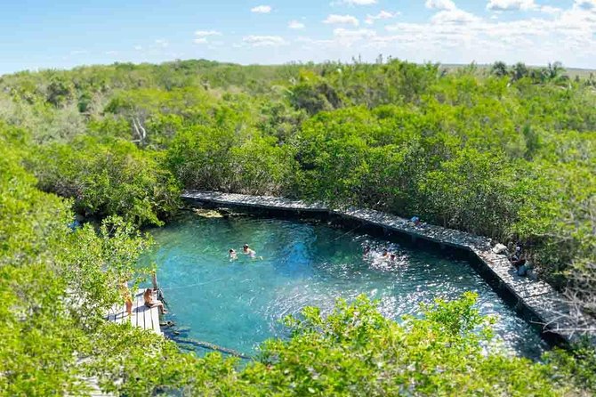 The best of Holbox from Tulum - Stop 4: Isla De La Pasion wildlife sighting