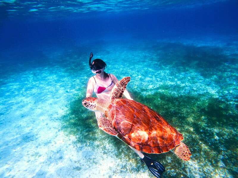 The Cozumel Turtle Sanctuary Snorkel Tour - When weather changes the menu
