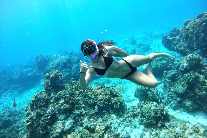 The Cozumel Turtle Sanctuary Snorkel Tour - Snorkel gear, boat comfort, and the sunscreen rule you must follow
