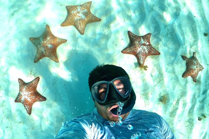 The Cozumel Turtle Sanctuary Snorkel Tour - Stop 1: turtle sanctuary snorkeling in natural habitat water