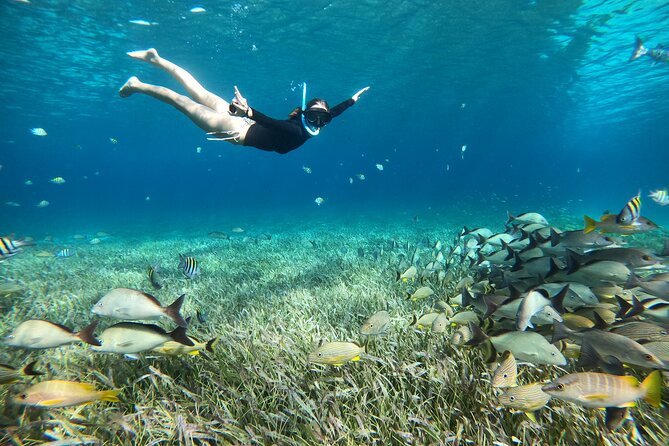 The Cozumel Turtle Sanctuary Snorkel Tour - Stop 3 and the sandbar finish: Cielito for snacks, drinks, and sunset