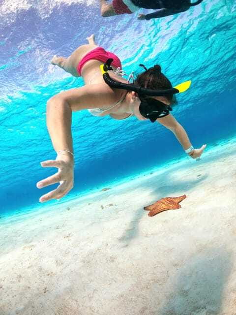 The Cozumel Turtle Sanctuary Snorkel Tour - Getting to the dock: hotel pickup, ferry transfers, and timing