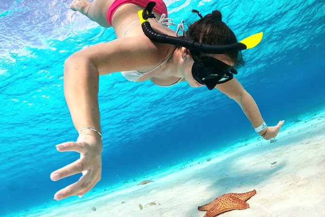 The Cozumel Turtle Sanctuary Snorkel Tour - Colombia Reef and Palancar Reef: where the coral does the talking
