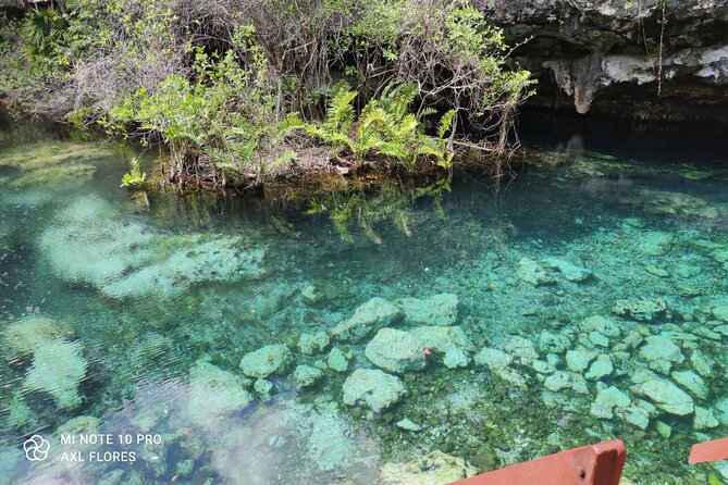 The great snorkeling adventure at the Riviera Maya private tour - Price of $513.17 per person: where the value really comes from